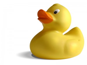 ducky1